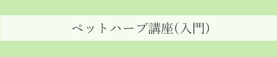 自然とつながるエコハーブ園芸体験講座|ヴィーナースメディカルハーブラボ 東京秋葉原校 オンライン校