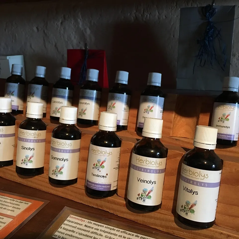 エルビオリスミックスジェモ17種セルフケア講座｜ヴィーナース メディカルハーブラボ