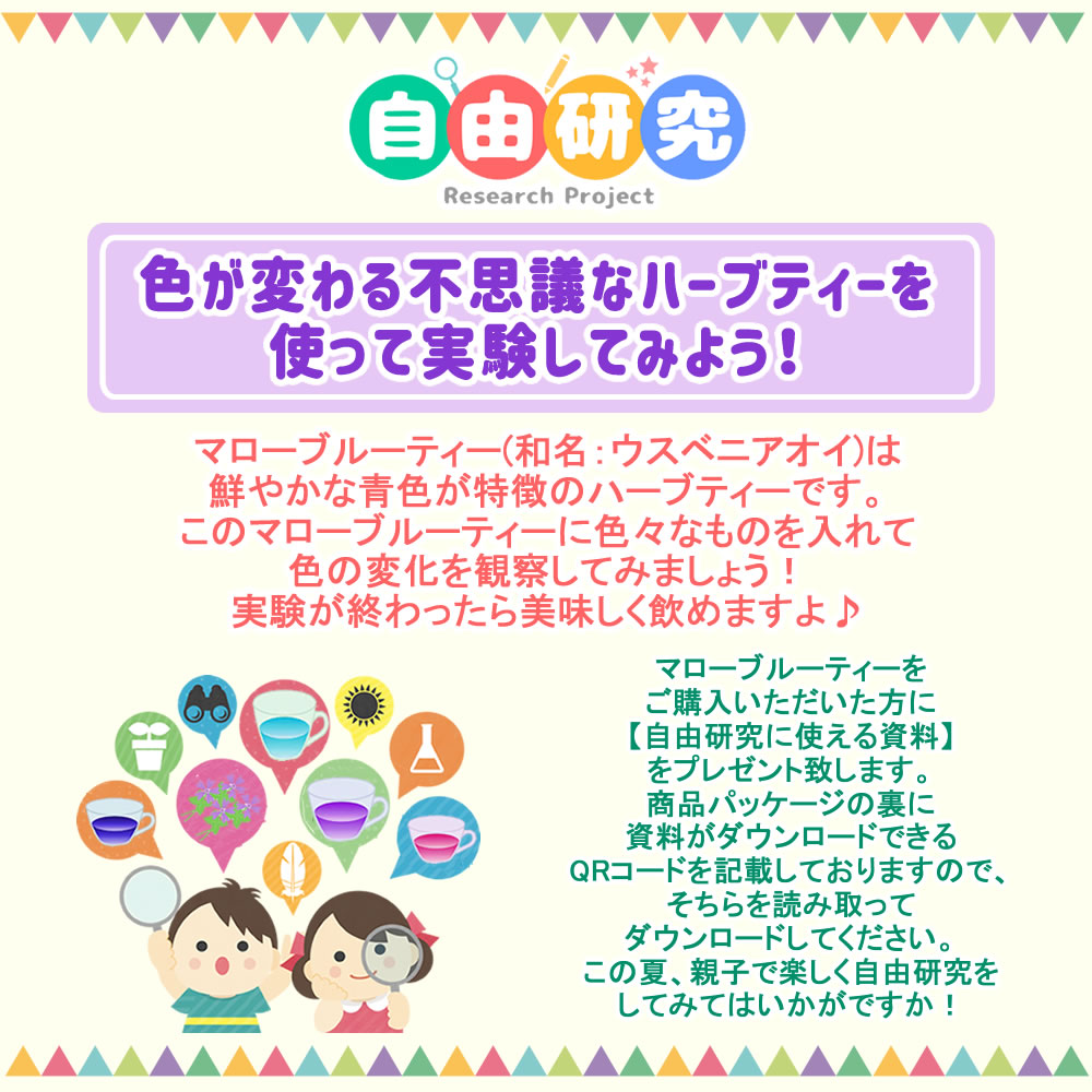自由研究にも！色が変わる不思議なハーブティー、マローブルーを使って実験してみよう！