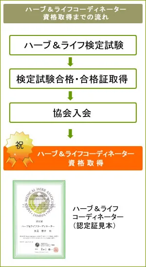 ハーブ＆ライフコーディネーター資格取得までの流れ。ハーブ＆ライフ検定試験→検定試験合格・合格証取得→協会入会→ハーブ＆ライフコーディネーター資格取得