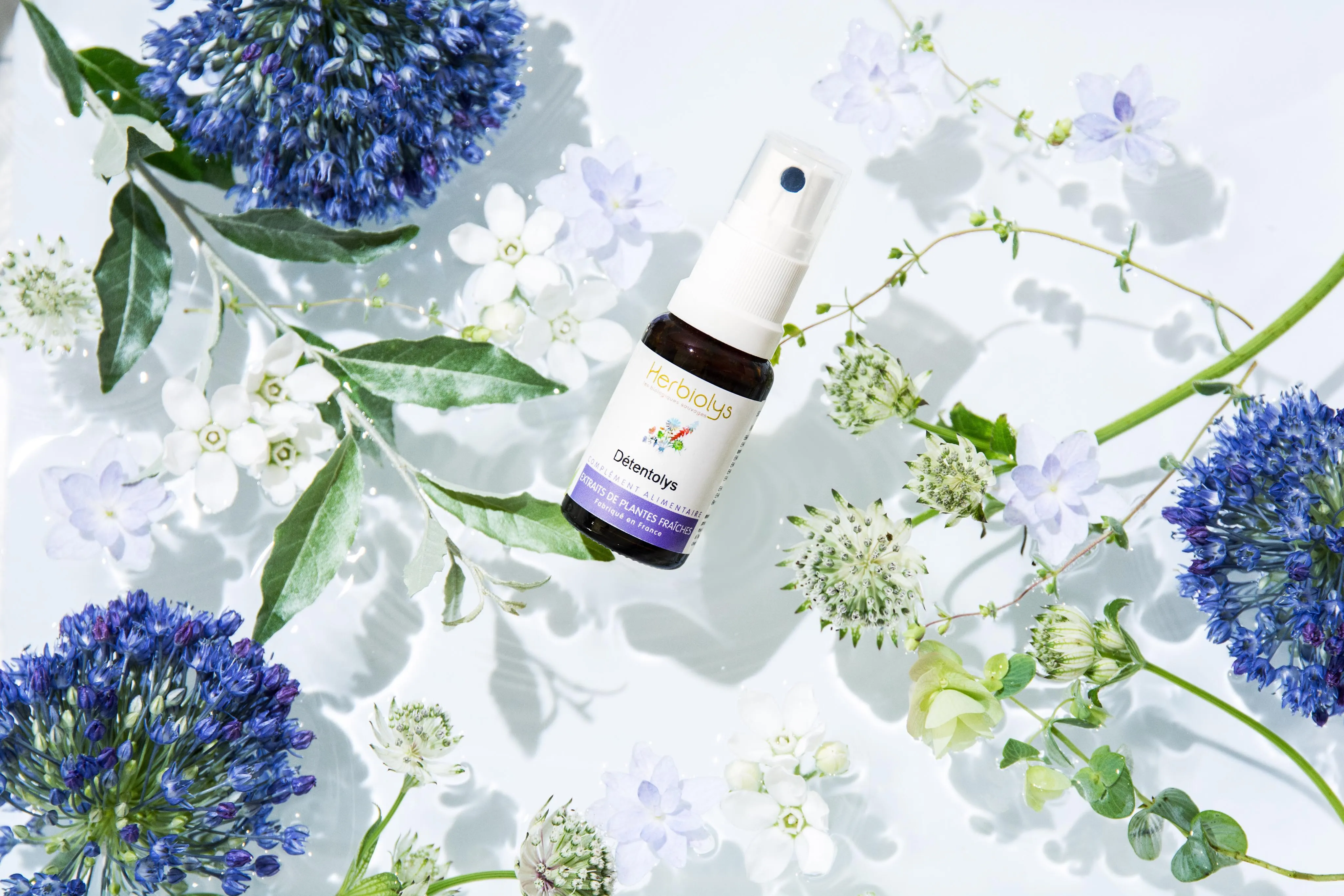 GAJ日本ジェモセラピーカレッジはこちら｜ヴィーナース メディカルハーブラボ