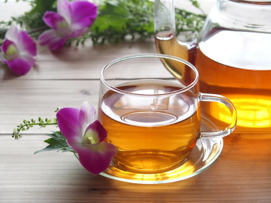 ヴィーナース メディカルハーブLABOのハーブ講座の様子（東京秋葉原）