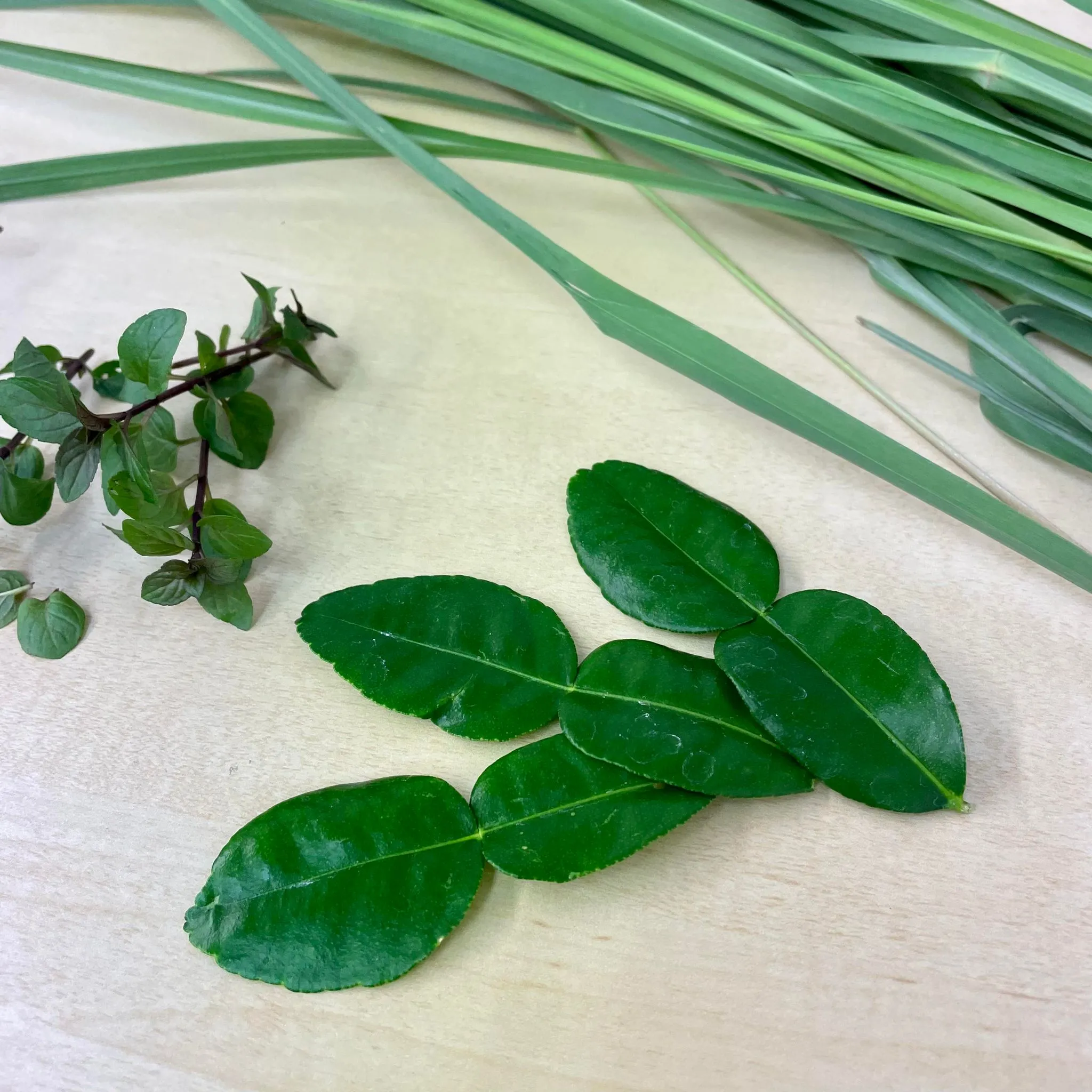 ハーバルライフ講座で使うハーブ｜春川なお講師