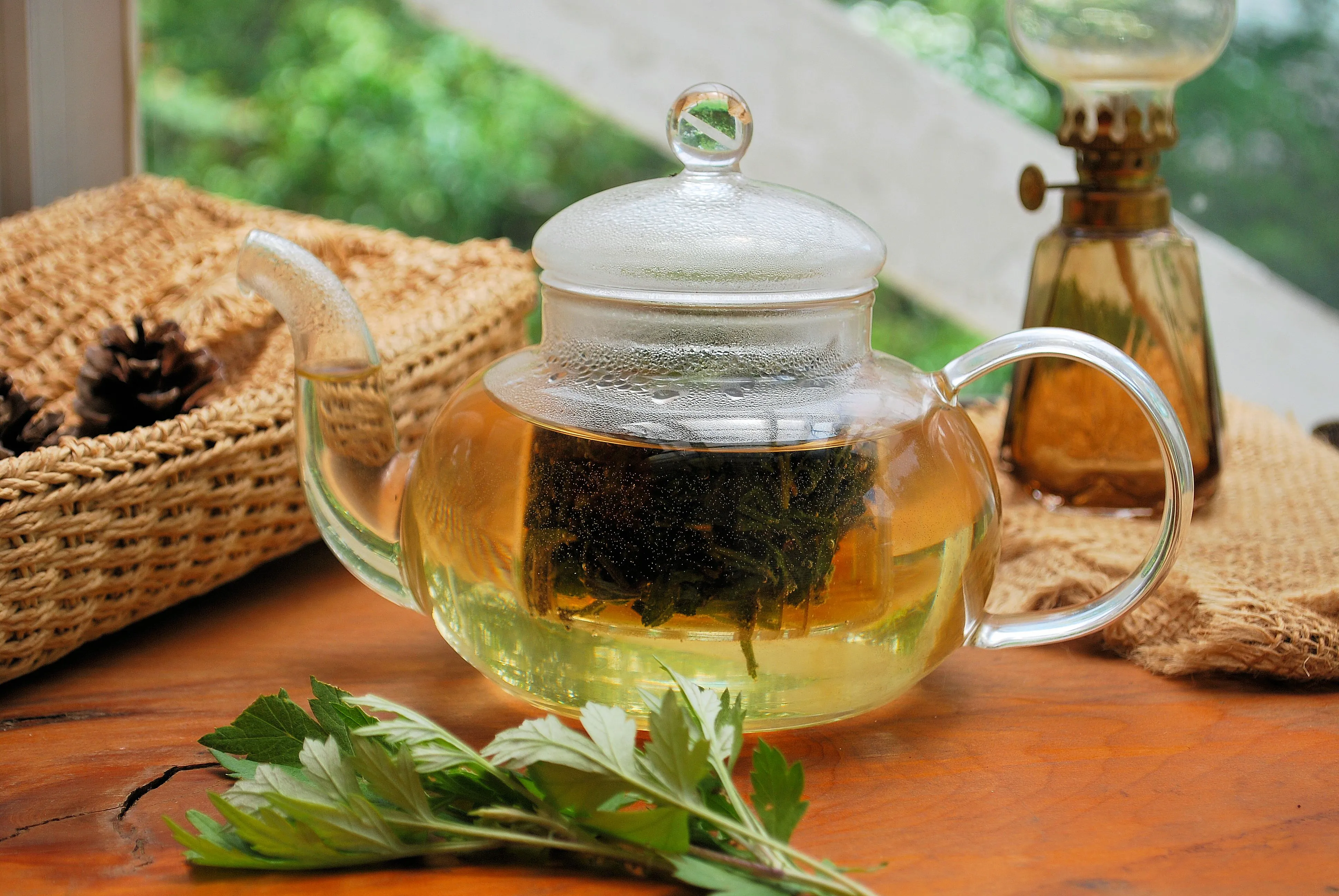 12種類の日本のハーブの試飲カップが並ぶ講座の様子。クロモジ・ヨモギ・大和当帰などを試飲しながら学ぶ｜ヴィーナース メディカルハーブLABO 東京秋葉原校