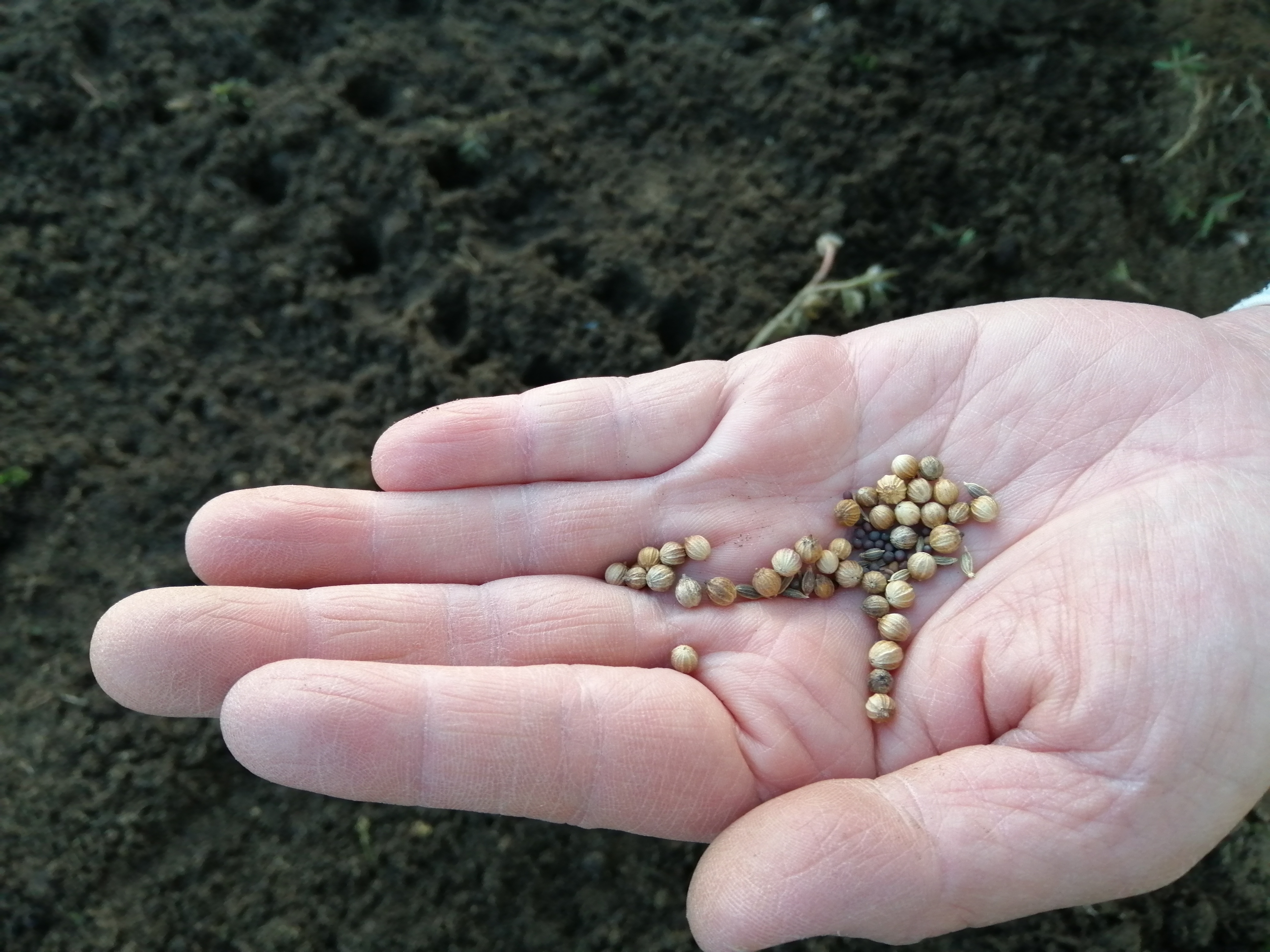 木村正典講師の木村式・有機栽培の講座の様子その４｜ヴィーナース メディカルハーブラボ