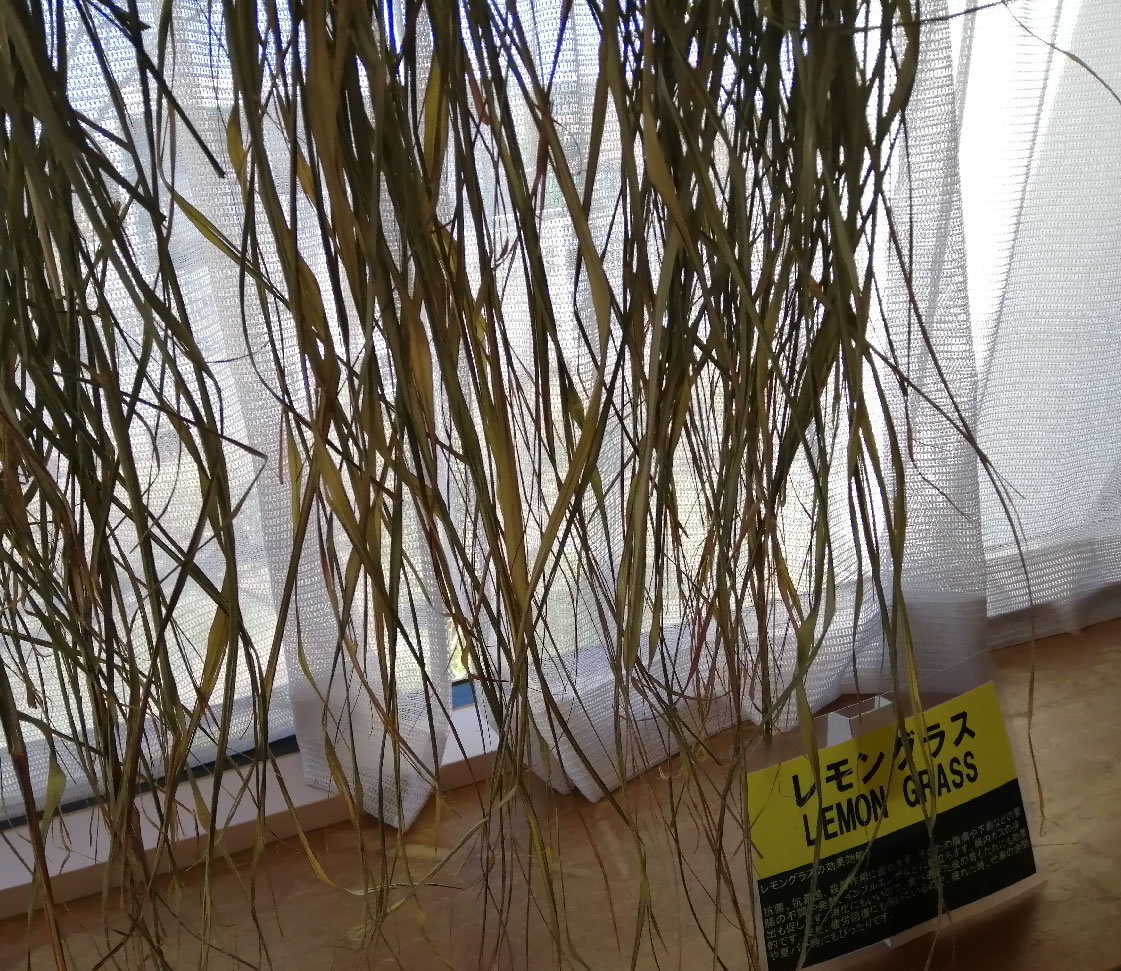 木村正典講師の木村式・有機栽培の講座の様子その８｜ヴィーナース メディカルハーブラボ