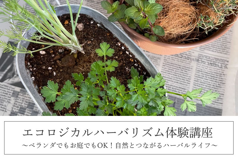 自然とつながるエコハーブ園芸体験講座