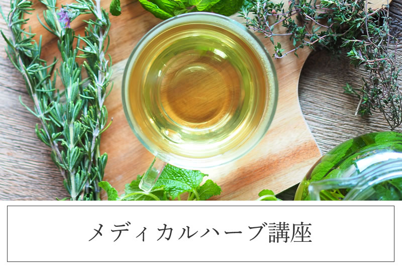 植物の持つ魅力と可能性に触れながら睡眠・ストレス・日々のコンディションという私たちの生活に身近なテーマを中心にハーブの取り入れ方をやさしく学べる講座です｜ヴィーナース
