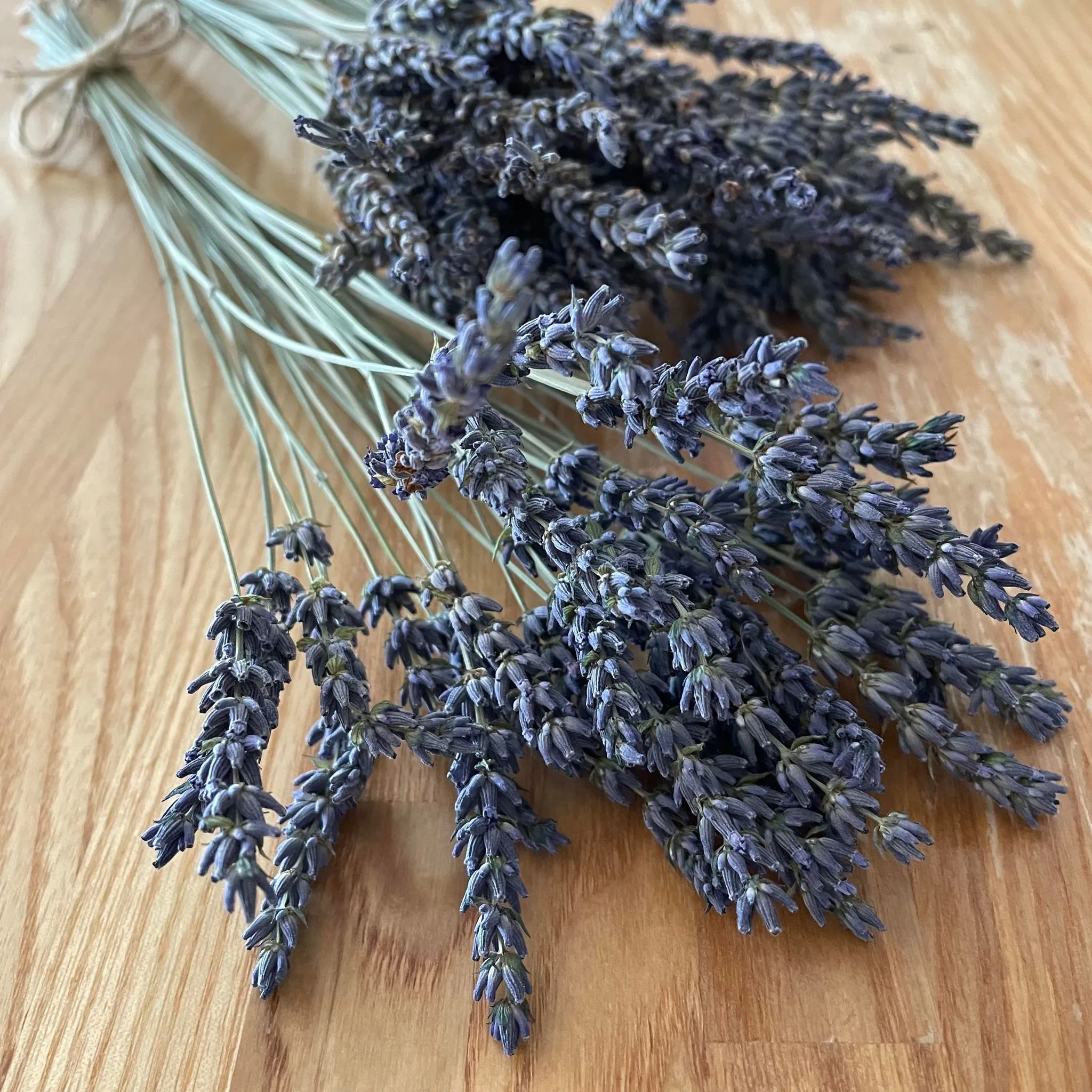 ハーバルライフ講座 ラベンダー