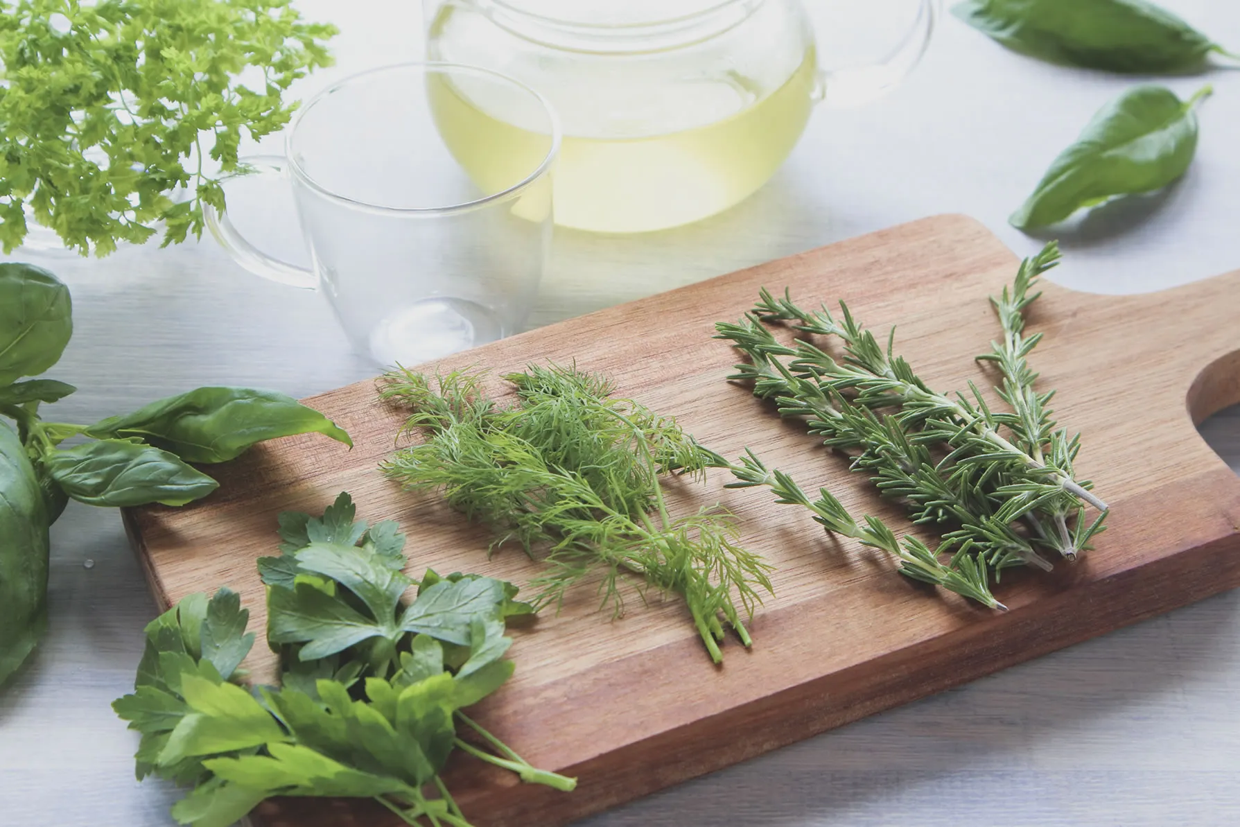 メディカルハーブ講座で使用するハーブ素材｜睡眠・ストレス・ダイエットをテーマに学ぶ｜ヴィーナース メディカルハーブLABO