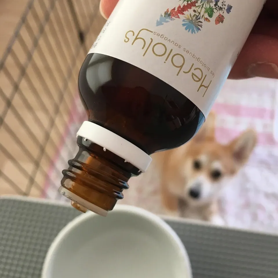 ペットへのジェモセラピー・ペットのセルフケアにミックスジェモ｜ヴィーナース メディカルハーブラボ