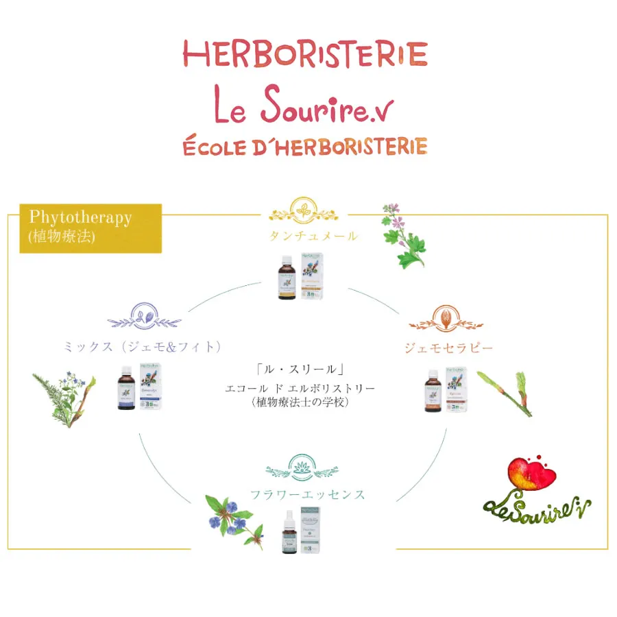 フィトセラピーのタンチュメール｜ヴィーナース メディカルハーブラボ