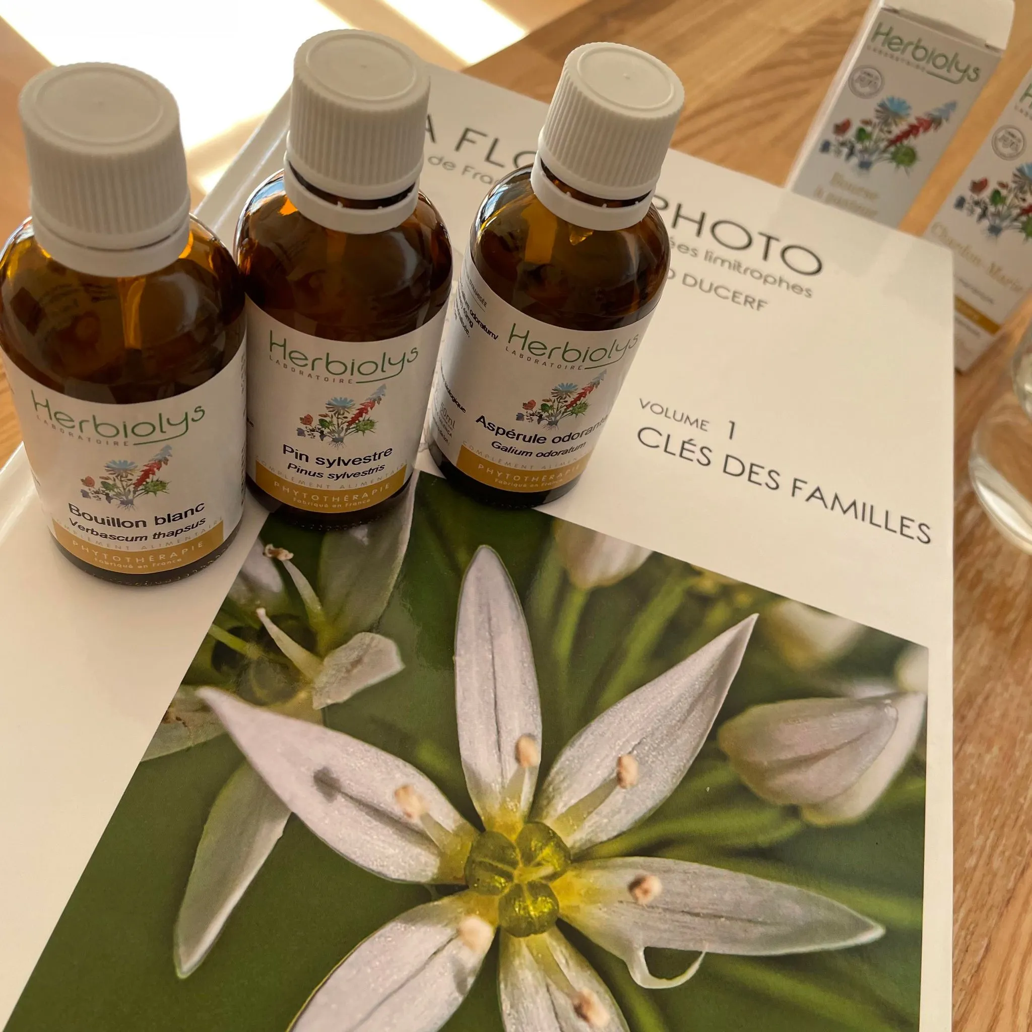 フィトセラピー講座の様子｜ヴィーナース メディカルハーブラボ