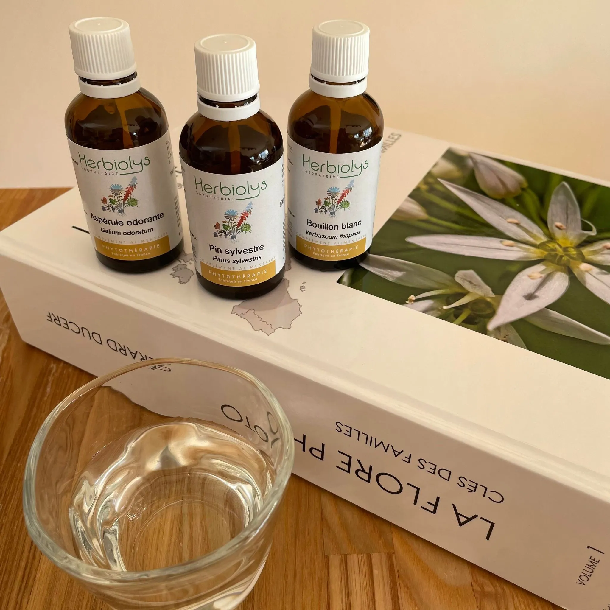 フィトセラピー講座で使用する植物エキス｜ヴィーナース メディカルハーブラボ