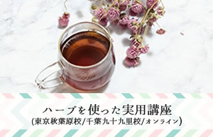 ヴィーナース メディカルハーブラボ 15種類のハーブの風味を知り、効能を学ぶ講座のご感想です