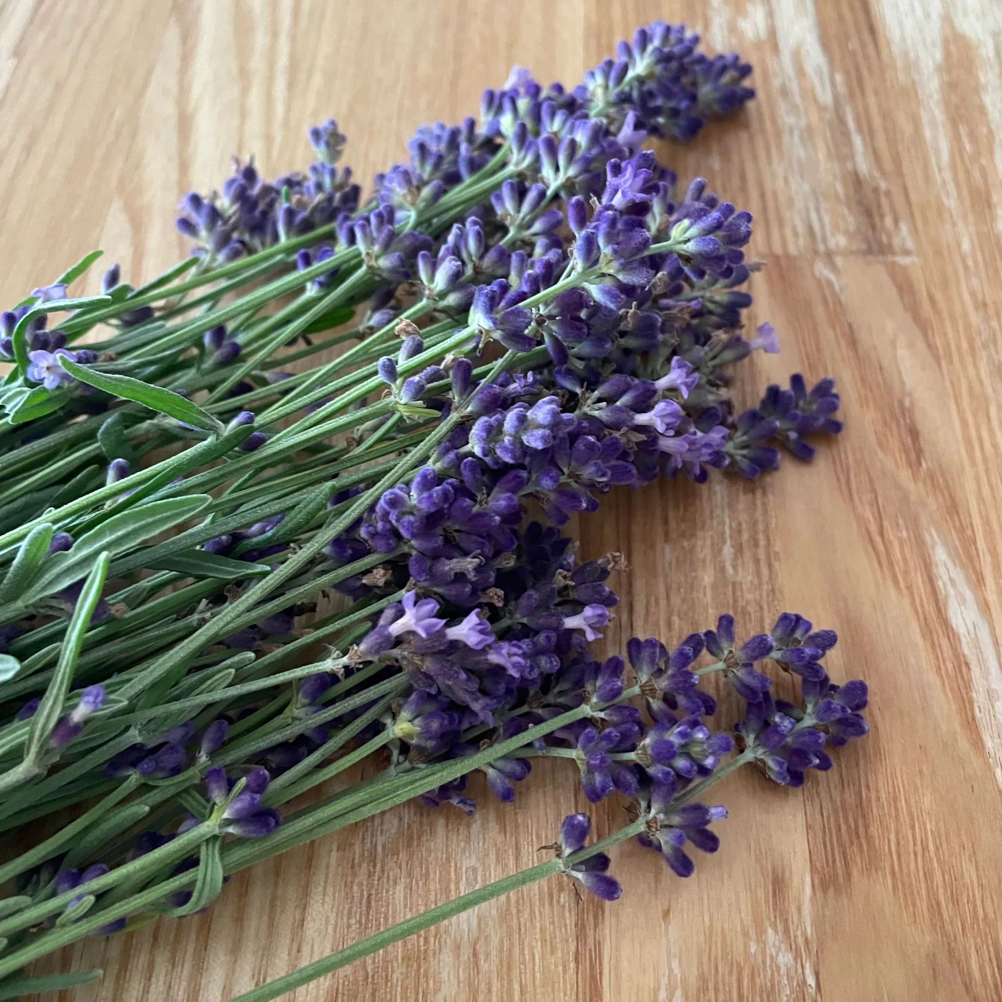 ハーバルライフ講座 スパイス香るハートリースづくり