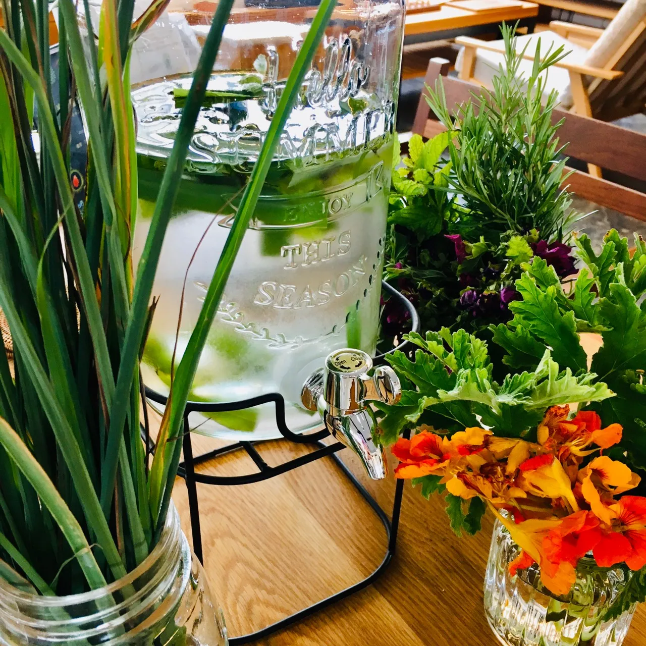 ヴィーナース メディカルハーブLABO ハーバルライフ講座の様子 東京秋葉原