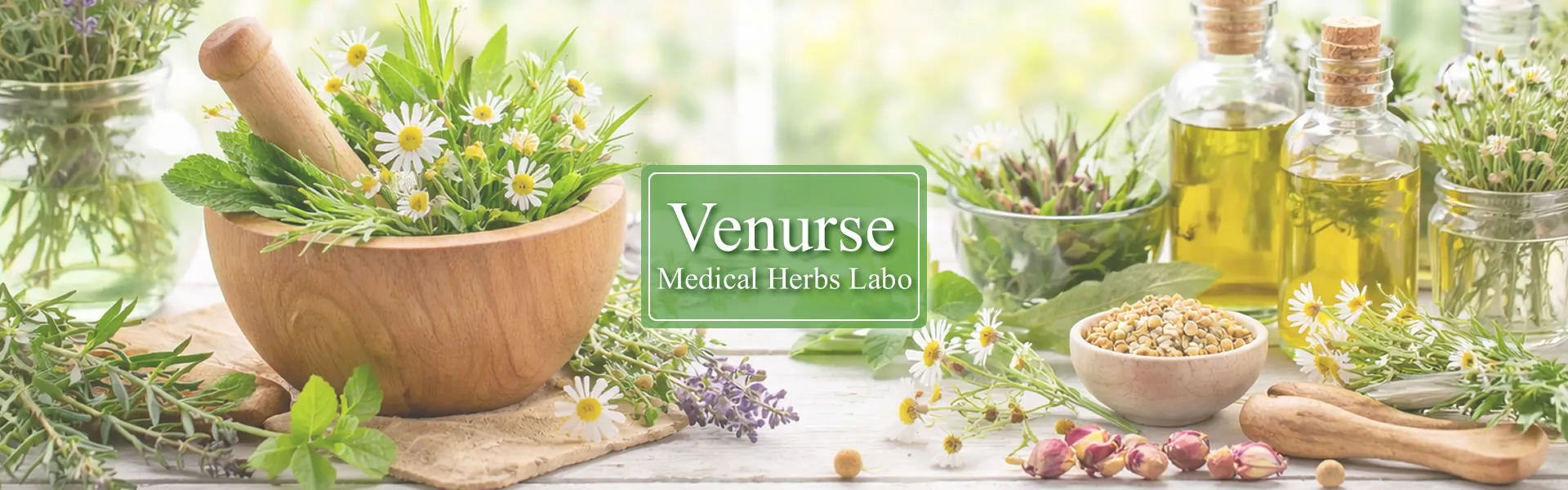 ヴィーナース メディカルハーブLABO 東京秋葉原校 ― 日本メディカルハーブ協会（JAMHA）認定ハーブスクール。メディカルハーブ検定・ハーバルセラピストなど7種類の資格講座を開講